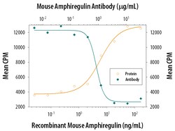 Mouse Amphiregulin Antibody, R D Systems 100&mu;g; Unlabeled:Antibodies,