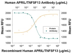 Human APRIL/TNFSF13 Antibody, R D Systems 25&mu;g; Unlabeled:Antibodies,