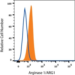 Human/Mouse Arginase 1/ARG1 Fluorescein-conjugated Antibody, R D Systems