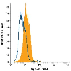 Human/Mouse Arginase 1/ARG1 Fluorescein-conjugated Antibody, R D Systems