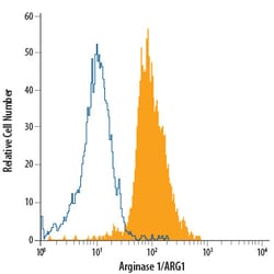 Human Arginase 1/ARG1 APC-conjugated Antibody, R D Systems 100 Tests; APC:Antikörper
