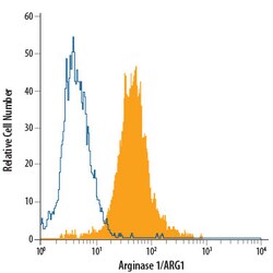 Human Arginase 1/ARG1 PerCP-conjugated Antibody, R D Systems 100 Tests;