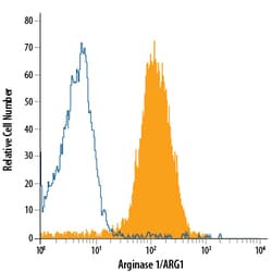 Human Arginase 1/ARG1 Antibody, R D Systems 100ug; Unlabeled:Antibodies,