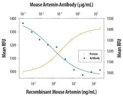 Mouse Artemin Antibody, R D Systems 25&mu;g; Unlabeled:Antibodies, Polyclonal