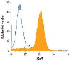 Human/Mouse ASAM Antibody, R D Systems 100&mu;g; Unlabeled:Antibodies,