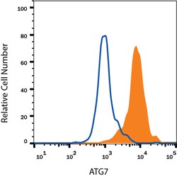 Human/Mouse ATG7 Antibody, R D Systems 100ug; Unlabeled:Antibodies, Monoclonal