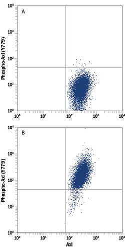 Phospho-Axl (Y779) APC-conjugated Antibody, R D Systems 25 Tests; APC:Antibodies,