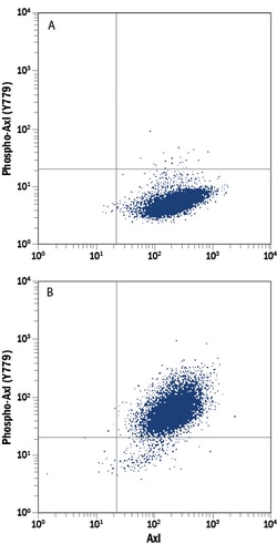 Phospho-Axl (Y779) PE-conjugated Antibody, R D Systems 25 Tests; PE:Antibodies,