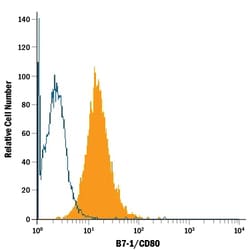 Human B7-1/CD80 Fluorescein-conjugated Antibody, R D Systems 25 Tests;