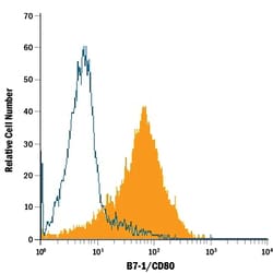 Human B7-1/CD80 PE-conjugated Antibody, R D Systems 25 Tests | Buy Online | R&D Systems | Fisher Scientific