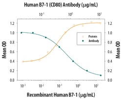 Human B7-1/CD80 Antibody, R D Systems 500&mu;g; Unlabeled:Antibodies, Monoclonal