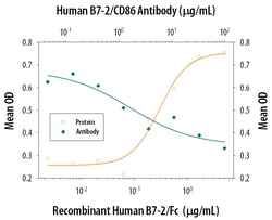 Human B7-2/CD86 Antibody, R D Systems 25&mu;g; Unlabeled:Antibodies, Polyclonal