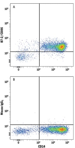 Human B7-2/CD86 Fluorescein-conjugated Antibody, R D Systems:Antibodies:Primary