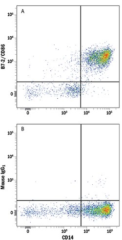 anti-B7-2/CD86, Alexa Fluor 647, Clone: 37301, R D Systems 25 Tests; Alexa