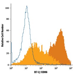 Mouse B7-2/CD86 PE-conjugated Antibody, R D Systems 100 Tests; PE:Antibodies,