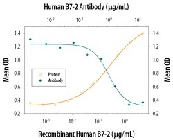 Human B7-2/CD86 Antibody, R D Systems 500&mu;g; Unlabeled:Antibodies, Monoclonal