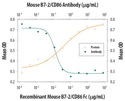 Mouse B7-2/CD86 Antibody, R D Systems 25&mu;g; Unlabeled:Antibodies, Monoclonal