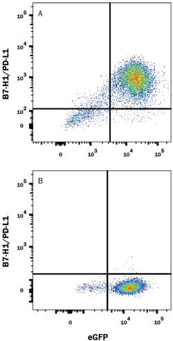 Mouse PD-L1/B7-H1 Antibody, R D Systems 25&mu;g; Unlabeled:Antibodies,