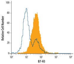Human B7-H3 Antibody, R D Systems 25&mu;g; Unlabeled:Antibodies, Polyclonal