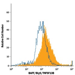 Human BAFF/BLyS/TNFSF13B PE-conjugated Antibody, R D Systems 100 Tests;