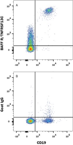 Human BAFFR/TNFRSF13C Antibody, R D Systems 100&mu;g; Unlabeled:Antibodies,