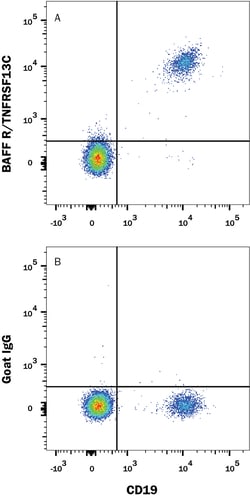 Human BAFFR/TNFRSF13C APC-conjugated Antibody, R D Systems 100 Tests; APC:Antibodies,