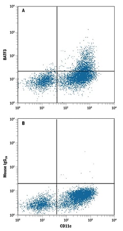 Human BATF3 Antibody, R D Systems 25&mu;g; Unlabeled:Antibodies, Monoclonal