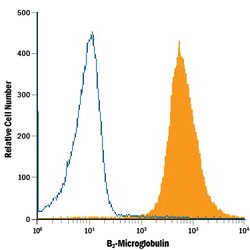 Human beta 2-Microglobulin Antibody, R D Systems 100ug; Unlabeled:Antibodies,