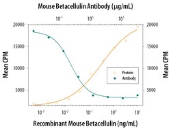 Mouse Betacellulin/BTC Antibody, R D Systems 100&mu;g; Unlabeled:Antibodies,
