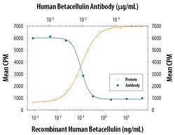 Human Betacellulin/BTC Antibody, R D Systems 100&mu;g; Unlabeled:Antibodies,