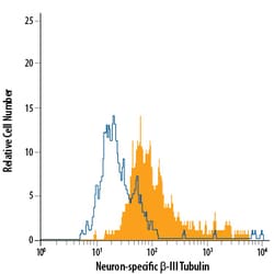 Neuron-specific beta-III Tubulin PerCP-conjugated Antibody, R D Systems