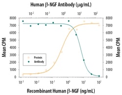 Human beta-NGF Antibody, R D Systems 1mg; Unlabeled:Antibodies, Polyclonal