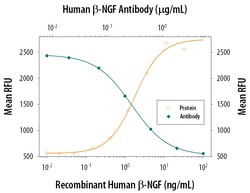 Human beta-NGF Antibody, R D Systems:Antibodies:Primary Antibodies