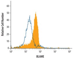 Human BLAME/SLAMF8 Biotinylated Antibody, R D Systems 50&mu;g; Biotin:Antibodies,