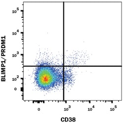 Human BLIMP1/PRDM1 Alexa Fluor 488-conjugated Antibody, R D Systems 100