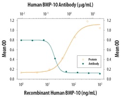 Human/Mouse BMP-10 Antibody, R D Systems 25&mu;g; Unlabeled:Antibodies,