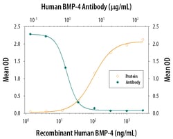 Human BMP-4 MAb (Clone 66119), R D Systems:Antibodies:Primary Antibodies