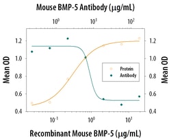 Mouse BMP-5 Antibody, R D Systems 25&mu;g; Unlabeled:Antibodies, Monoclonal