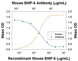 Mouse BMP-6 Antibody, R D Systems 100ug; Unlabeled:Anticorps, Monoclonal