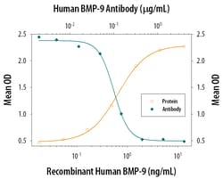 Human/Mouse BMP-9 Antibody, R D Systems 25&mu;g; Unlabeled:Antibodies,