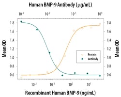 Human/Mouse/Primate BMP-9 Antibody, R D Systems 100ug; Unlabeled:Antibodies,