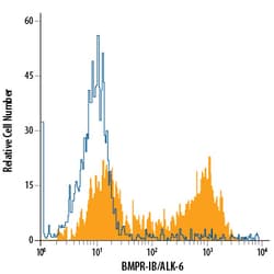 Human BMPR-IB/ALK-6 APC-conjugated Antibody, R D Systems 100 Tests | Buy Online | R&D Systems | Fisher Scientific