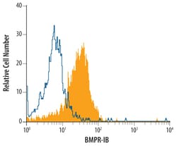 Human BMPR-IB/ALK-6 Antibody, R D Systems 100ug; Unlabeled:Antibodies,