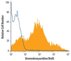 Bromodeoxyuridine/BrdU Antibody, R D Systems 100 &mu;g | Buy Online | R&D Systems | Fisher Scientific