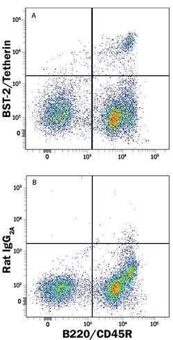 BST-2/Tetherin Rat anti-Mouse, Clone: 44E9R, R D Systems 25&mu;g; Unlabeled,