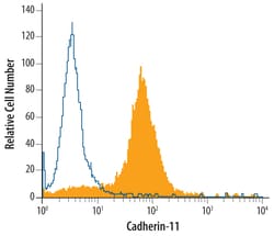 Human Cadherin-11 Antibody, R D Systems 100ug; Unlabeled:Antibodies, Monoclonal