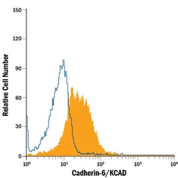 Human Cadherin-6/KCAD APC-conjugated Antibody, R D Systems 100 Tests; APC:Antibodies,