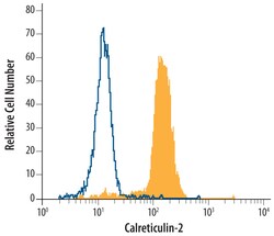 Human Calreticulin-2 Antibody, R D Systems 25&mu;g; Unlabeled:Antibodies,