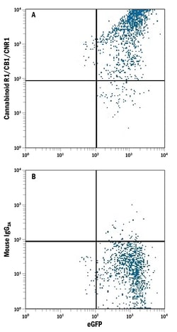 anti-Cannabinoid R1/CB1/CNR1, PE, Clone: 368302, R D Systems 100 Tests;