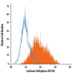 Human Carbonic Anhydrase IX/CA9 PE-conjugated Antibody, R D Systems 100